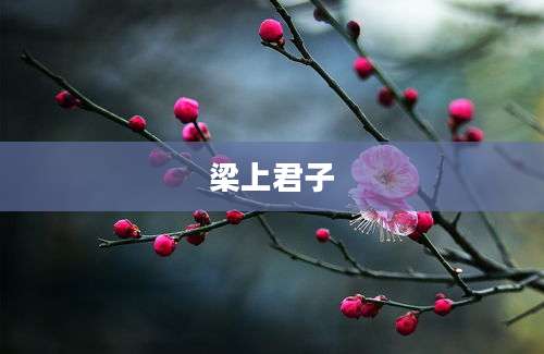 梁上君子
