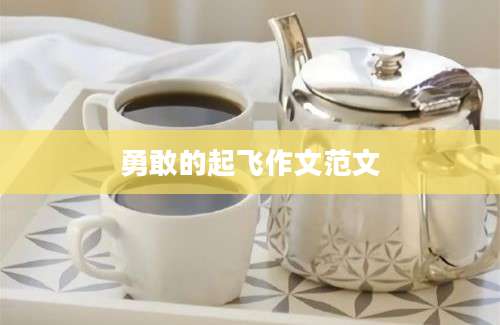 勇敢的起飞作文范文