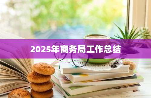 2025年商务局工作总结