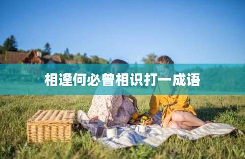 相逢何必曾相识打一成语