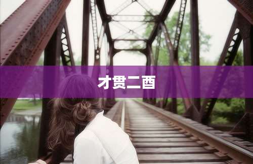 才贯二酉