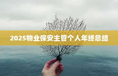 2025物业保安主管个人年终总结