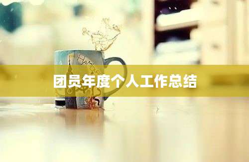 团员年度个人工作总结