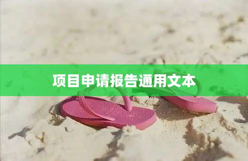 项目申请报告通用文本