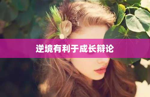 逆境有利于成长辩论