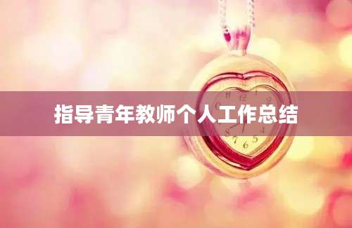指导青年教师个人工作总结