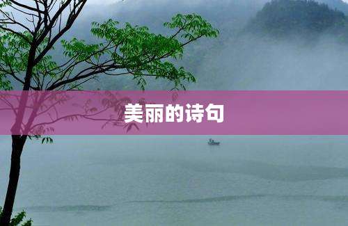 美丽的诗句