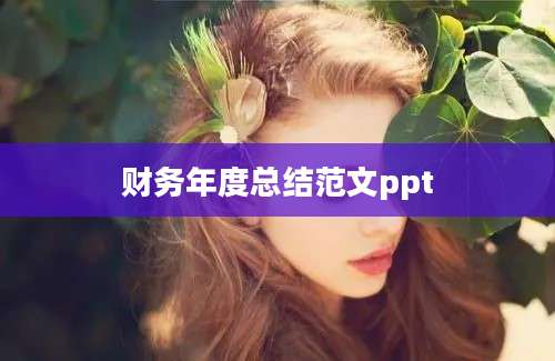 财务年度总结范文ppt