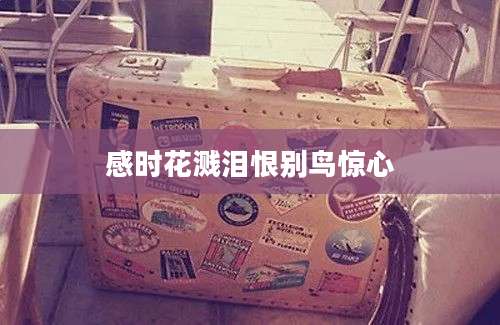 感时花溅泪恨别鸟惊心