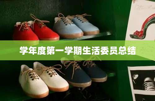 学年度第一学期生活委员总结