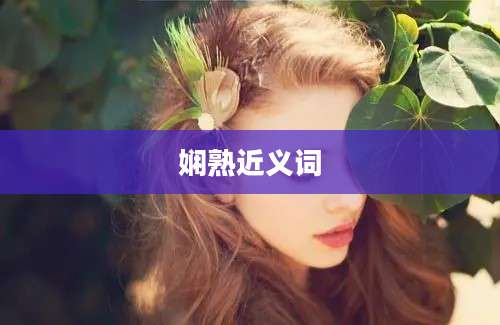 娴熟近义词
