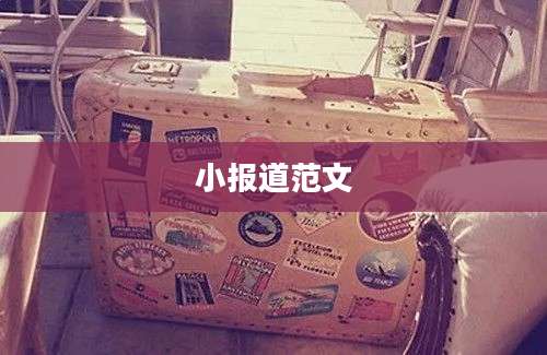 小报道范文