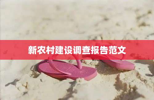 新农村建设调查报告范文