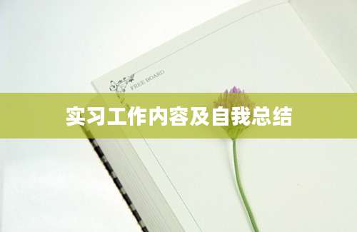 实习工作内容及自我总结