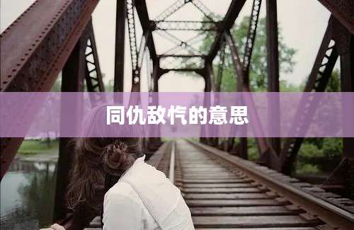 同仇敌忾的意思
