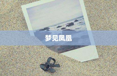 梦见凤凰