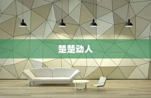 楚楚动人