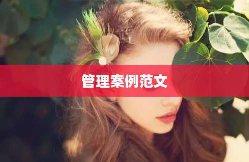 管理案例范文
