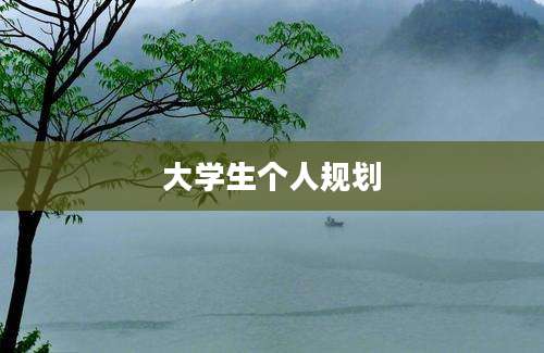 大学生个人规划