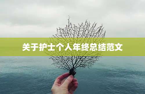 关于护士个人年终总结范文