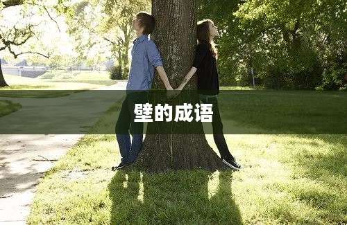壁的成语