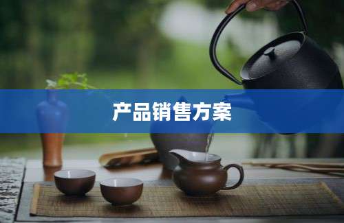 产品销售方案