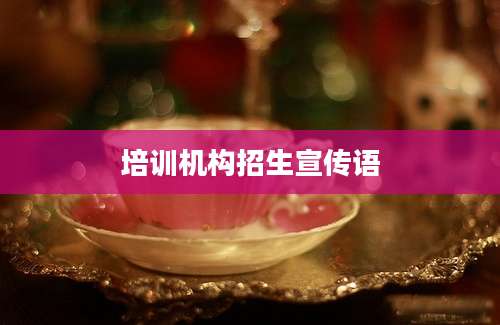 培训机构招生宣传语