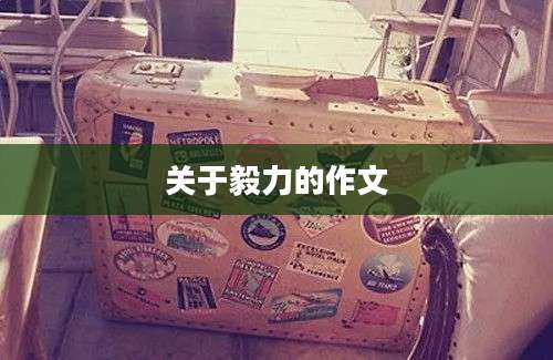 关于毅力的作文