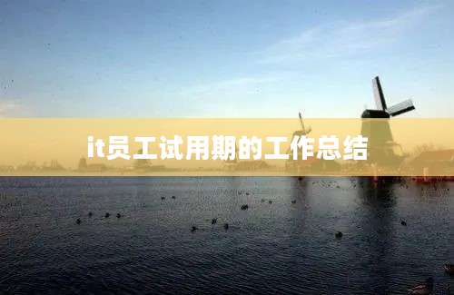 it员工试用期的工作总结