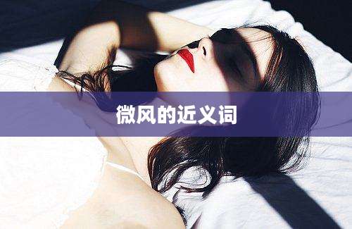 微风的近义词