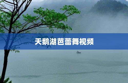 天鹅湖芭蕾舞视频