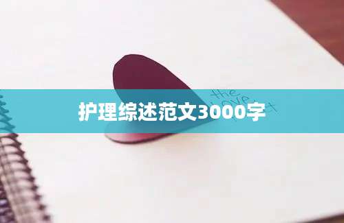 护理综述范文3000字