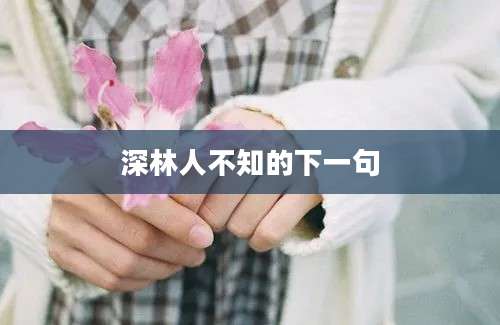 深林人不知的下一句