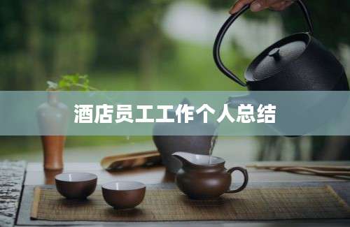 酒店员工工作个人总结