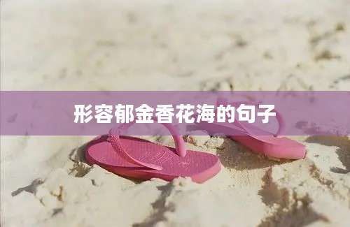 形容郁金香花海的句子