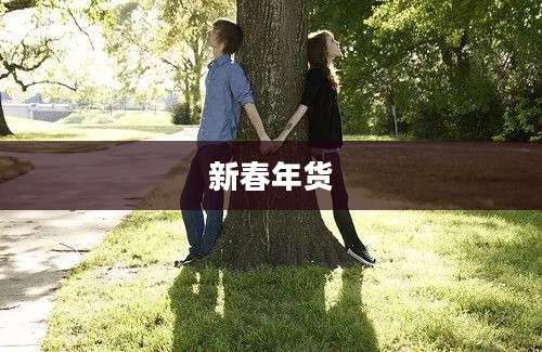 新春年货