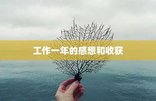 工作一年的感想和收获