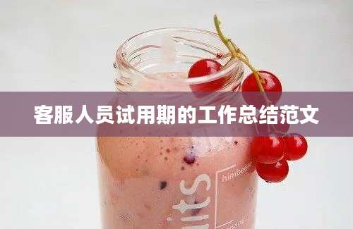 客服人员试用期的工作总结范文