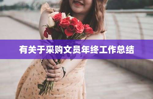 有关于采购文员年终工作总结