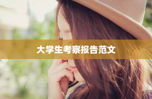 大学生考察报告范文