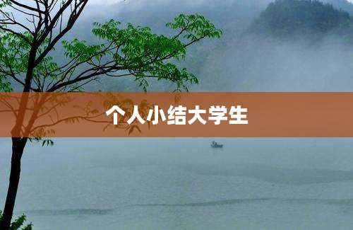 个人小结大学生