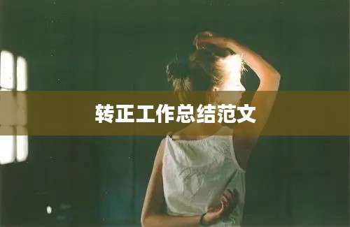 转正工作总结范文