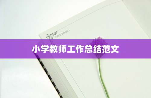 小学教师工作总结范文