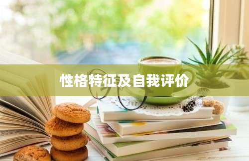 性格特征及自我评价
