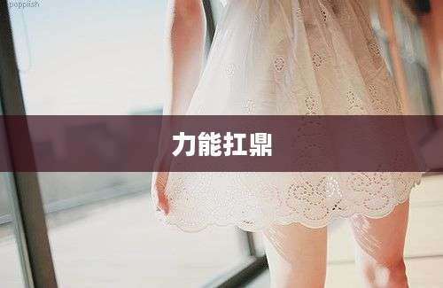 力能扛鼎