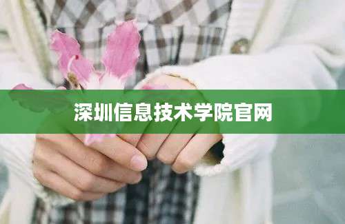 深圳信息技术学院官网