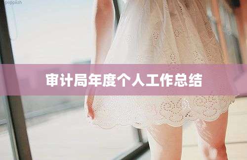审计局年度个人工作总结