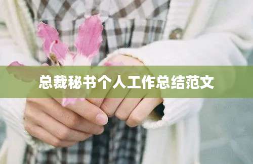 总裁秘书个人工作总结范文