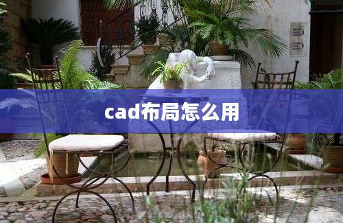 cad布局怎么用