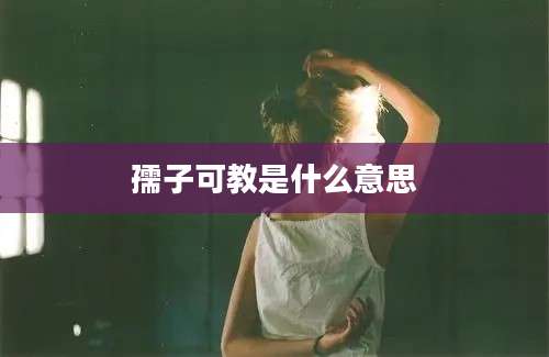 孺子可教是什么意思